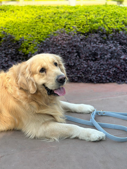Dog Leashes(Blue)