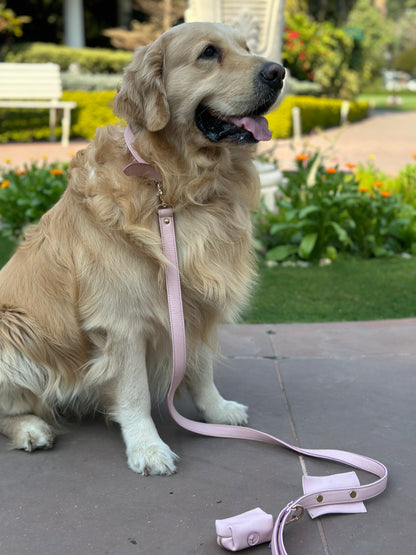 Blush Dog Collar
