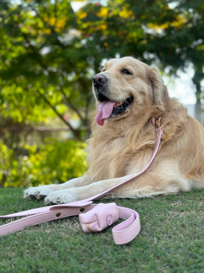 Dog Leashes(Blush)