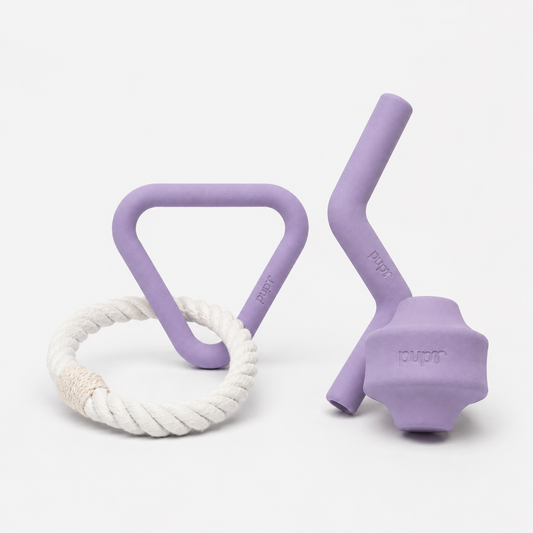 Toy Bundle - Lavender