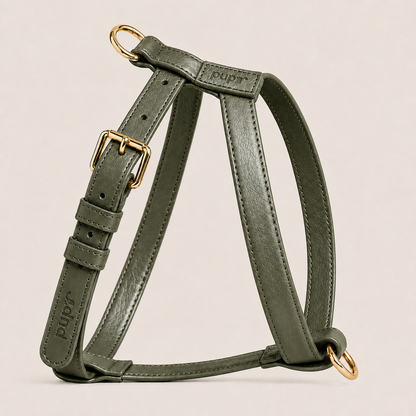 Olive Leather Harness