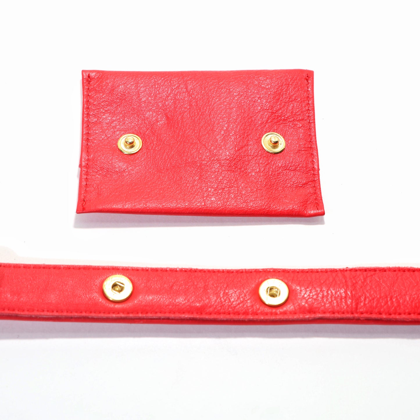 Red Dog Treat Bag