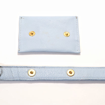 Blue Dog Treat Bag