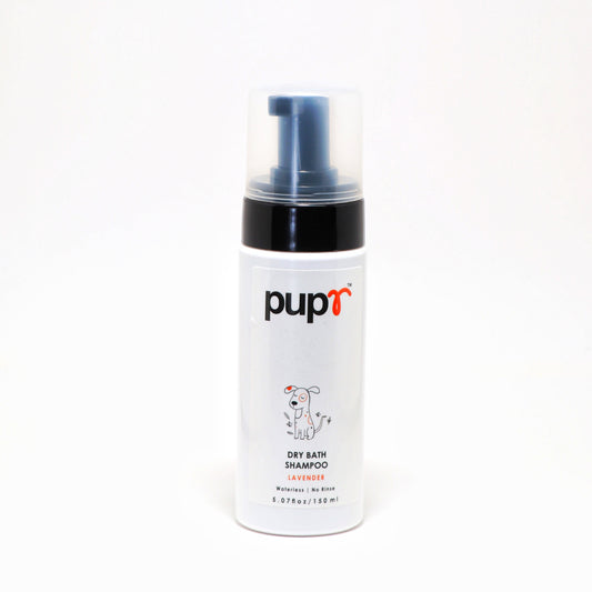 Dry Shampoo for Dogs