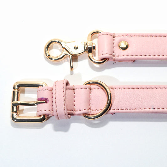 Dog Leashes(Blush)