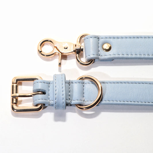 Leash - Blue