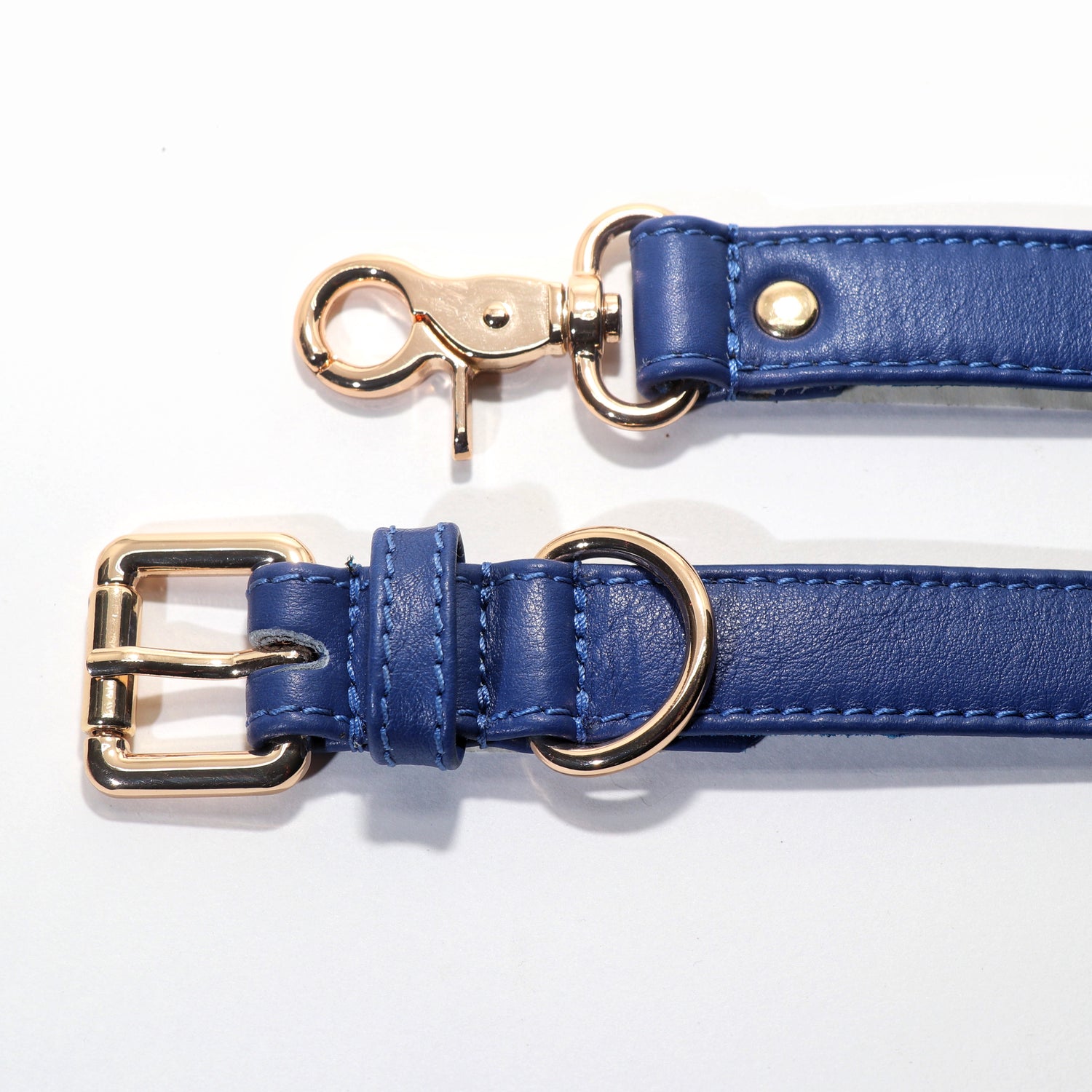 A blue dog leash with a gold-colored metal clasp and buckle on a white background.