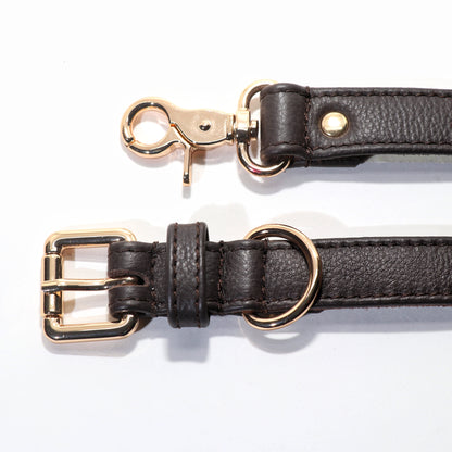 Leash - Brown