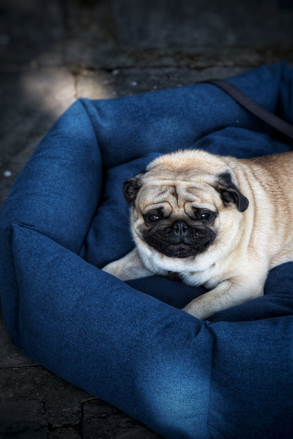 Navy Blue Dog bed