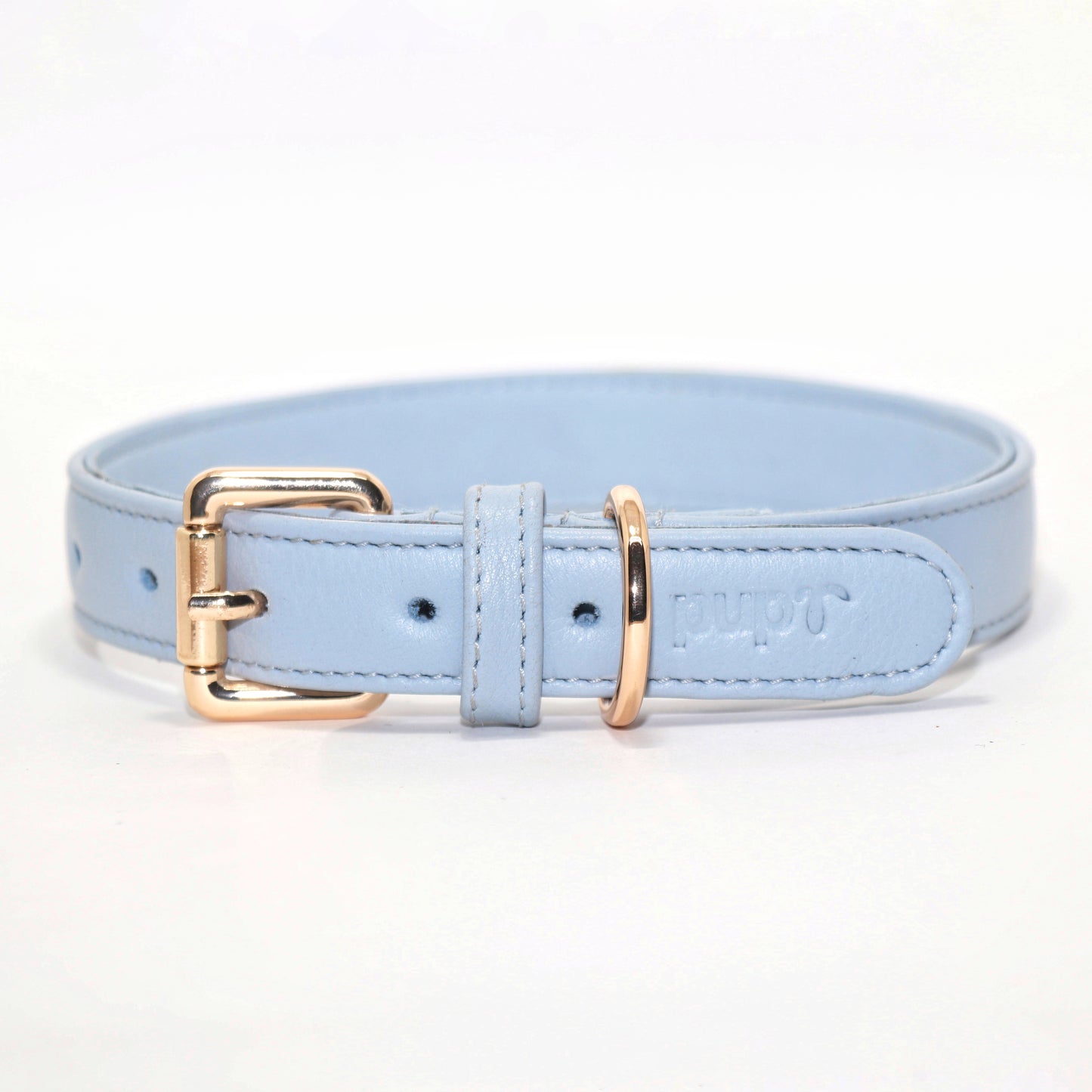Blue Dog Collar
