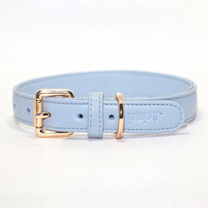 Blue Dog Collar