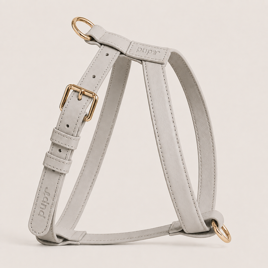 Beige Leather Harness