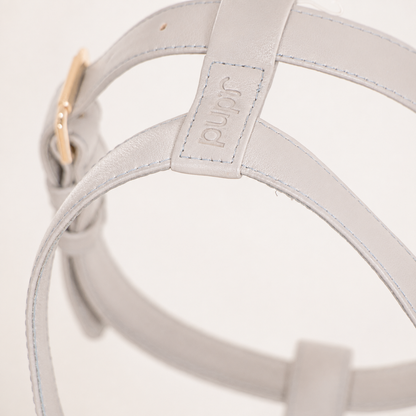 Moonstone Grey Dog Harness