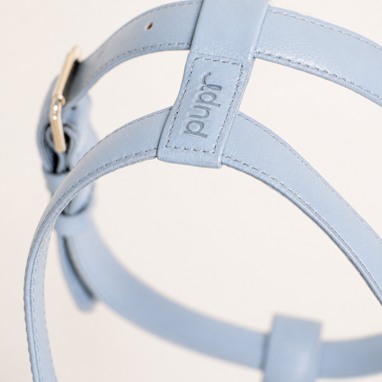 Blue Leather Harness
