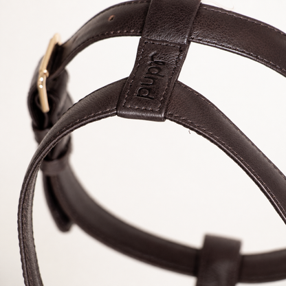 Brown Leather Harness