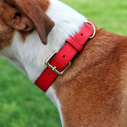 Collar - Red