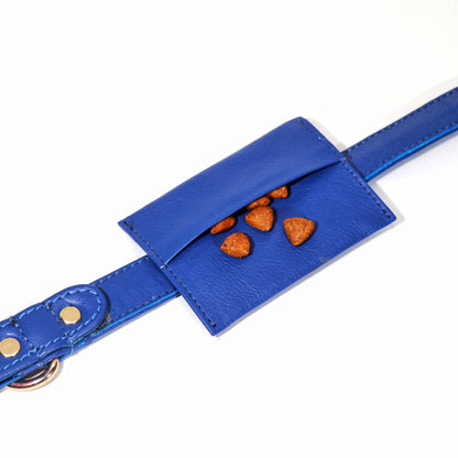 Sapphire Blue Dog Collar & Leash Set