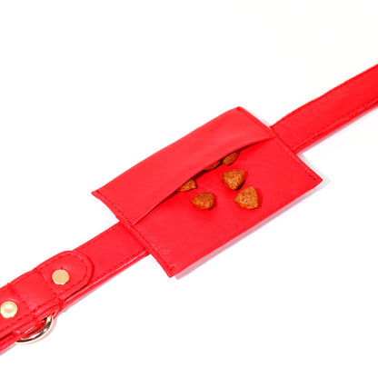 Red Dog Treat Bag